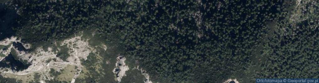 Zdjęcie satelitarne Sarnia Skała a3