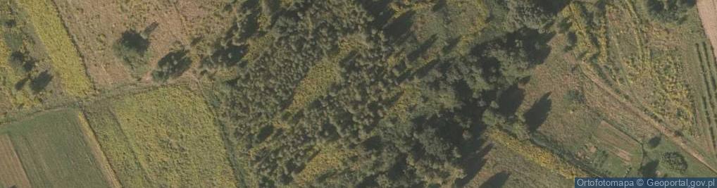 Zdjęcie satelitarne Siedl1