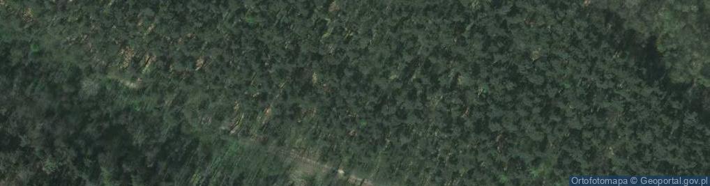 Zdjęcie satelitarne Skała Kmity a1