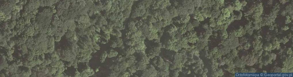 Zdjęcie satelitarne Skały Panieńskie a4