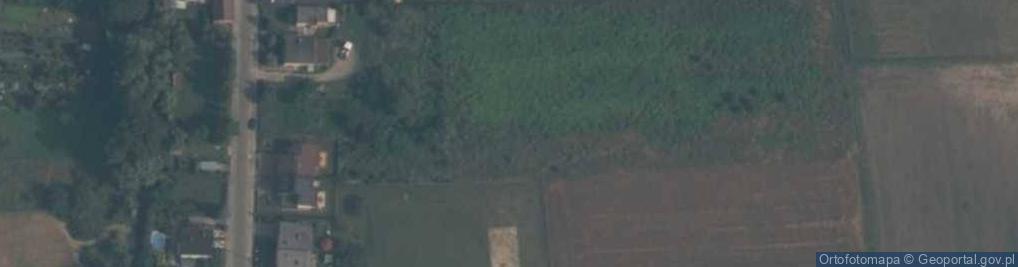 Zdjęcie satelitarne Skarszewy fragment murow obronnych
