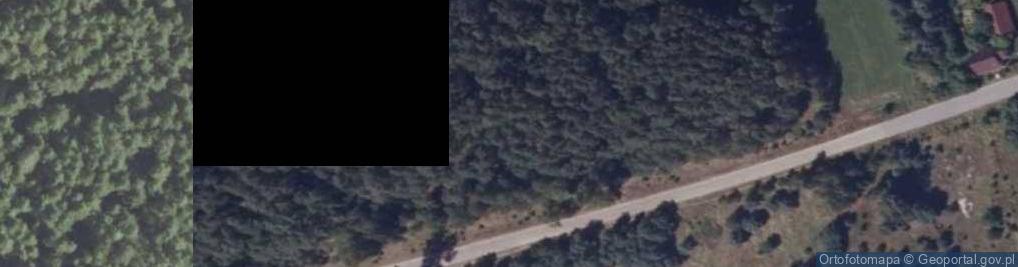 Zdjęcie satelitarne Słoja - Road