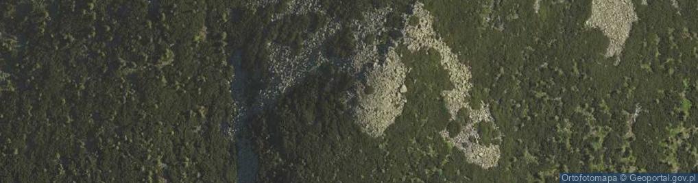Zdjęcie satelitarne Smielec