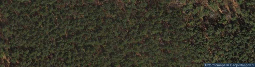 Zdjęcie satelitarne Sopot kosciol sw Jerzego
