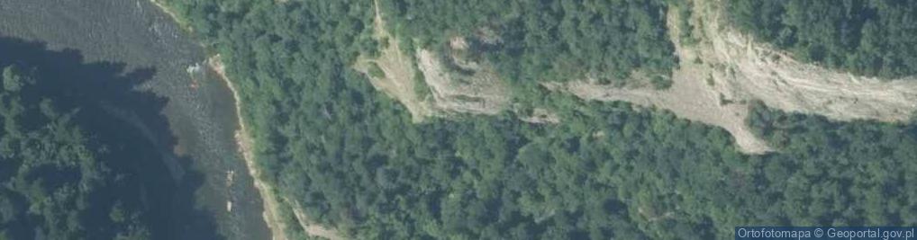 Zdjęcie satelitarne Sosna na Sokolicy 2