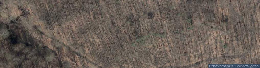 Zdjęcie satelitarne SPK-Puszcza Bukowa 003