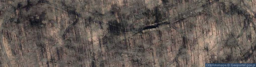 Zdjęcie satelitarne SPK-Puszcza Bukowa 014