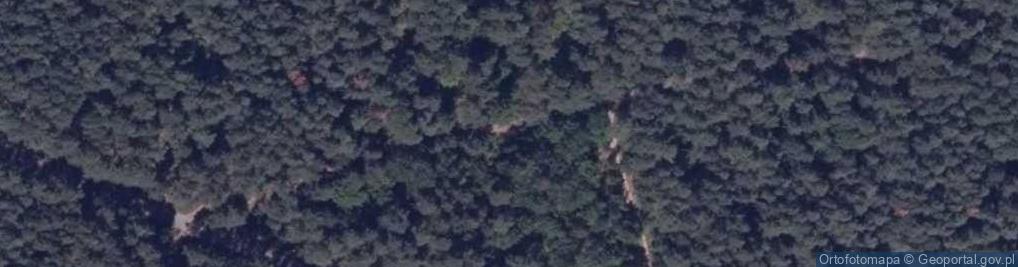 Zdjęcie satelitarne Stara Kamienna - Russian graveyard 03