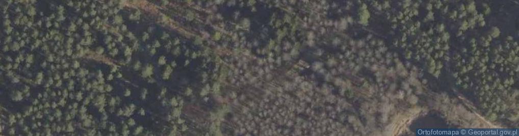 Zdjęcie satelitarne Staw w Swinobrodzie, woj podlaskie, Poland