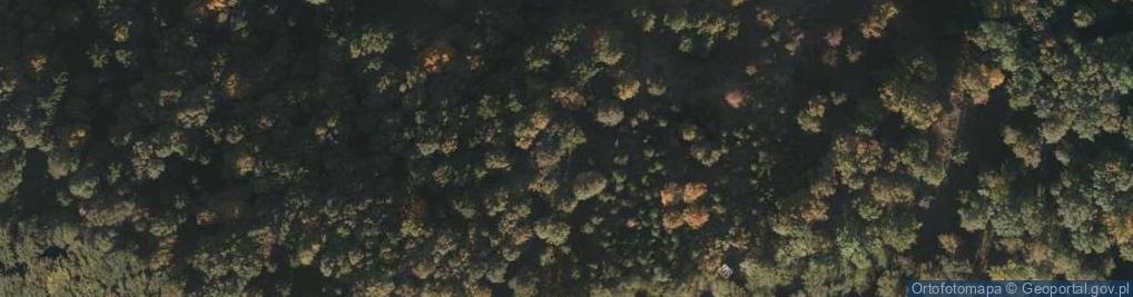Zdjęcie satelitarne Stożek Góry Kamienne