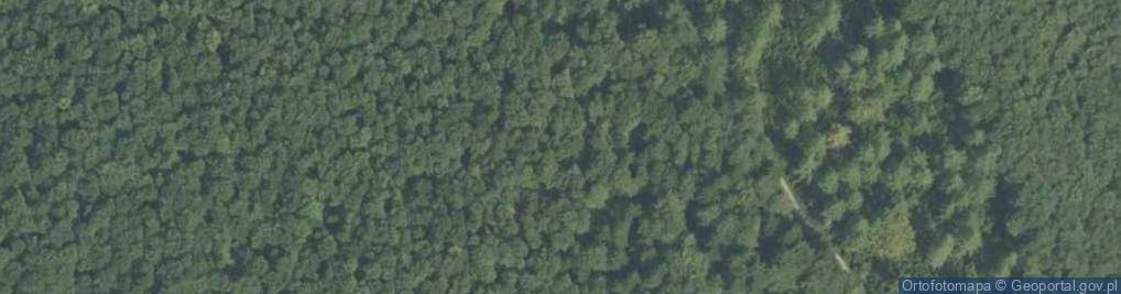 Zdjęcie satelitarne Sucha Przełęcz (Beskid Makowski) a1