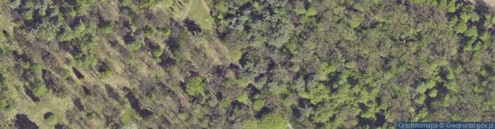 Zdjęcie satelitarne Świerklaniec - Kościół w parku