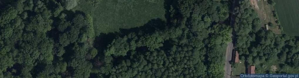 Zdjęcie satelitarne Szczaniec-zespol palacowy folwark dolny