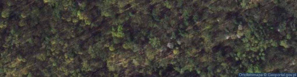 Zdjęcie satelitarne Tablica pamiątkowa dworku Szaniawskiego 03.05.09 p