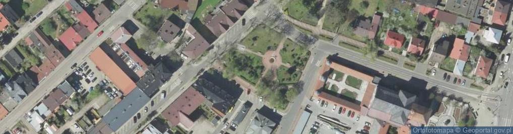 Zdjęcie satelitarne Thuja sp. Ostrołęka