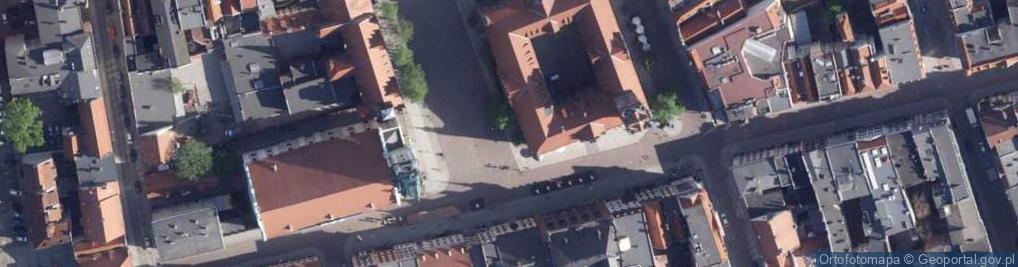 Zdjęcie satelitarne Toruń - Pomnik Flisaka Iwo 02