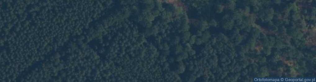 Zdjęcie satelitarne Trojmiejski PK-Sopieszyno
