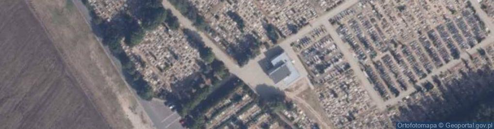 Zdjęcie satelitarne Trzcianka - Cemetery 01