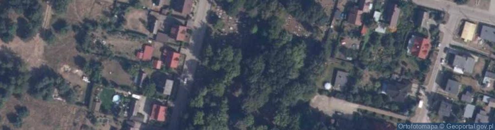 Zdjęcie satelitarne Trzcianka - Old cemetery 04
