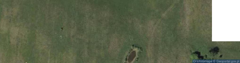Zdjęcie satelitarne Tumiany