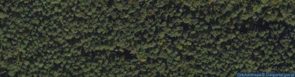 Zdjęcie satelitarne UG - Faculty of Management