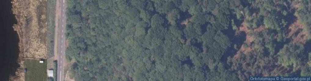 Zdjęcie satelitarne V3 Testgelaende Zalesie 02 09