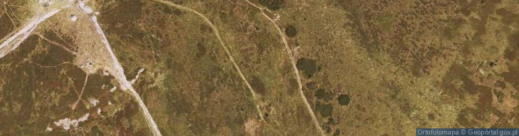 Zdjęcie satelitarne View from Glatzer Schneeberg