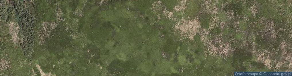 Zdjęcie satelitarne Waldkarpaten Bieszczady Polonina
