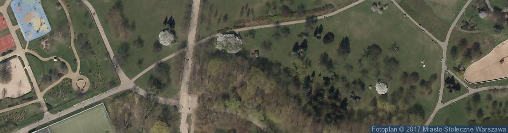 Zdjęcie satelitarne Warszawa-Park Bródnowski jesień