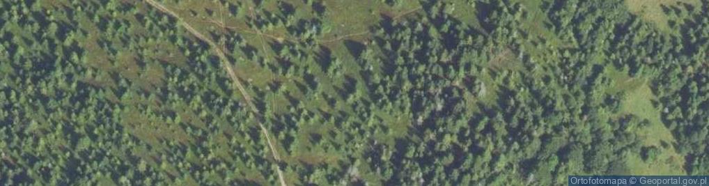 Zdjęcie satelitarne Widok z Gorców a1