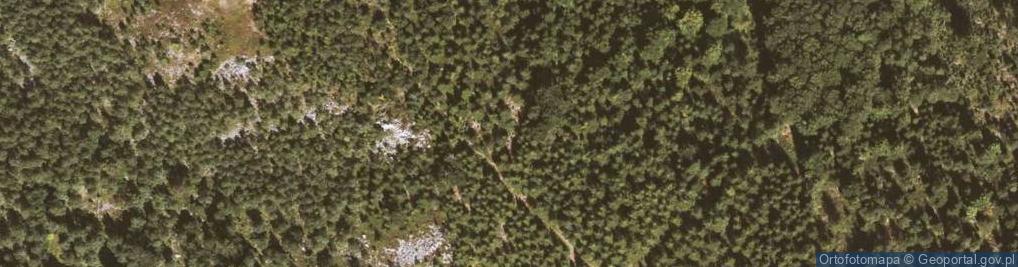 Zdjęcie satelitarne Wieś Goszów widziana ze szczytu góry Łysiec PL