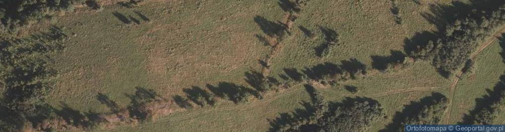 Zdjęcie satelitarne WiesPrzecznica-wnetrze1813sieni