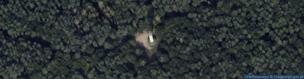 Zdjęcie satelitarne Wieża na szczycie Dziewiczej Góry
