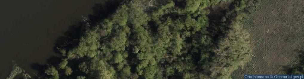 Zdjęcie satelitarne Wlk Kępa bociany