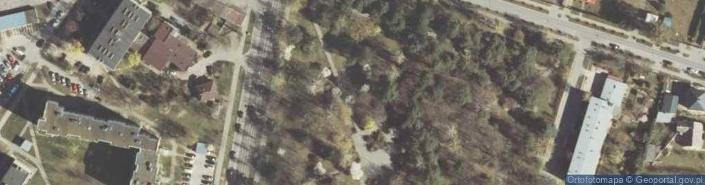 Zdjęcie satelitarne Wlodawa-WDK