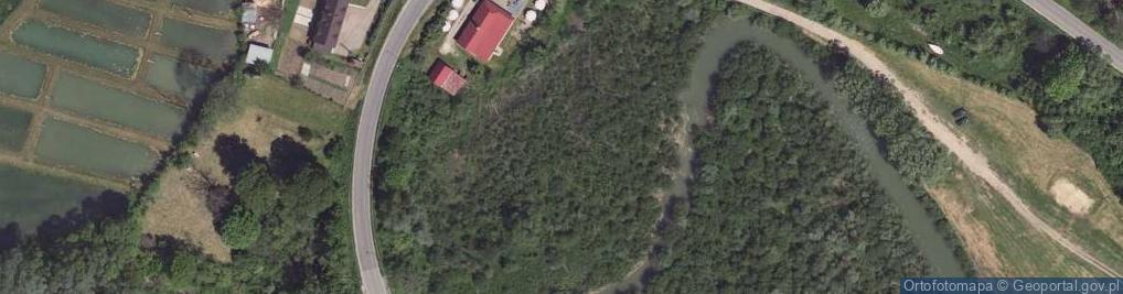 Zdjęcie satelitarne Wolkowyja