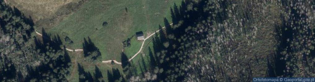 Zdjęcie satelitarne Wywierzysko Olczyskie