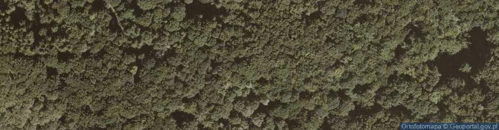 Zdjęcie satelitarne Yew Berries