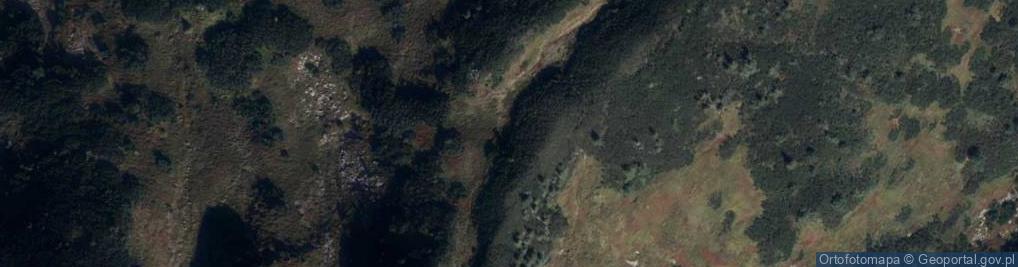 Zdjęcie satelitarne Zakopane26