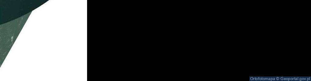 Zdjęcie satelitarne Zawisza czarna gdynia