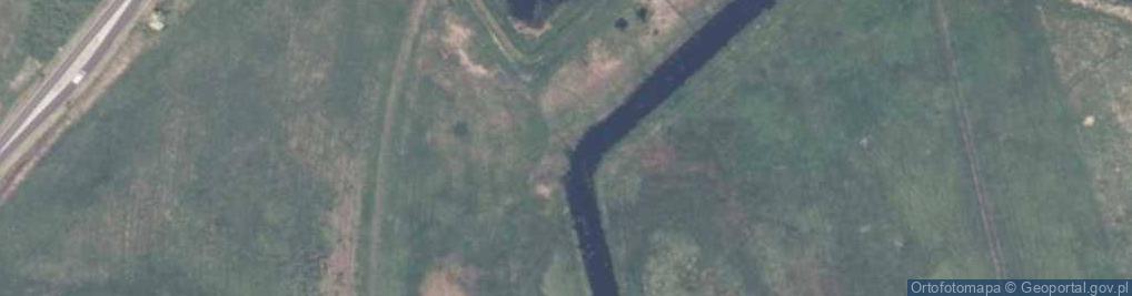 Zdjęcie satelitarne Zgnila Rega cattle 2009-06
