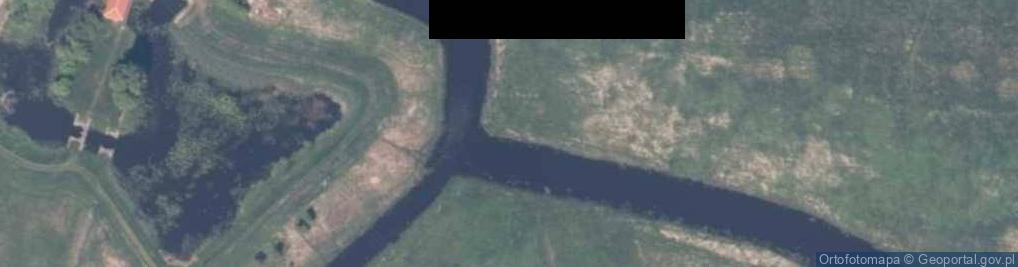 Zdjęcie satelitarne Zgnila Rega confluence Stara Rega 2009-06