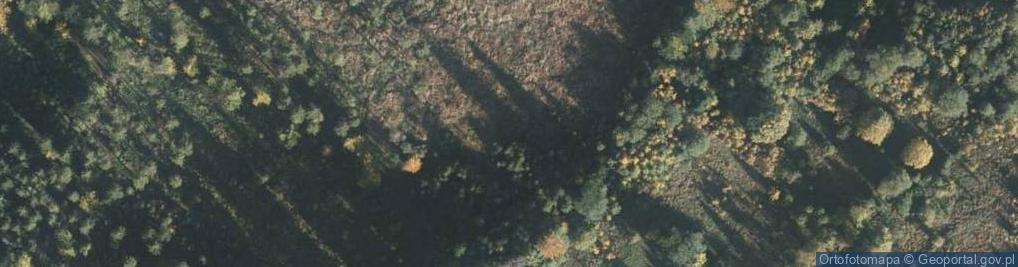 Zdjęcie satelitarne Zwardon.3