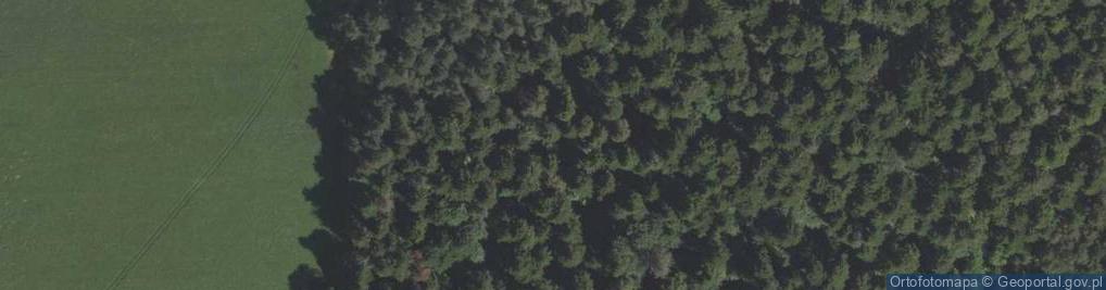 Zdjęcie satelitarne Zwierzyniec - Piaskowa Gora