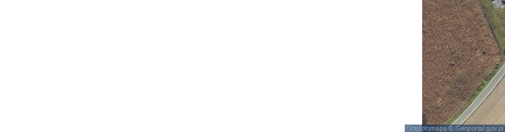 Zdjęcie satelitarne Sklep Zoologiczny