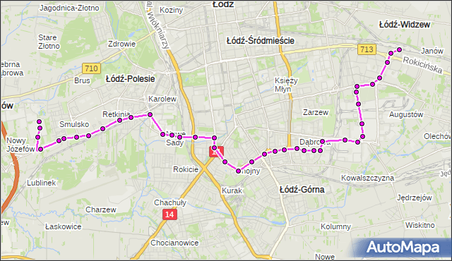 Mapa Polski Targeo, Autobus 69 - trasa - Dworzec Łódź Widzew. MPKLodz na mapie Targeo