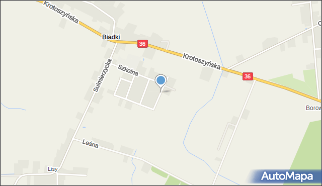 Biadki, 3 Maja, mapa Biadki