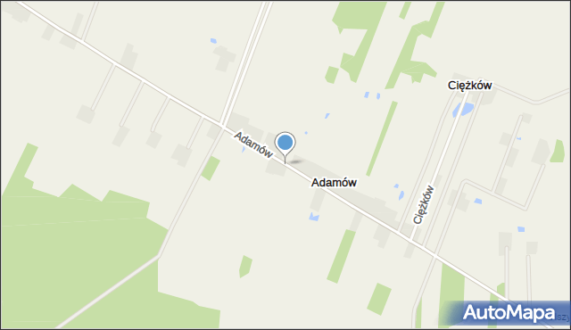 Adamów gmina Poddębice, Adamów, mapa Adamów gmina Poddębice