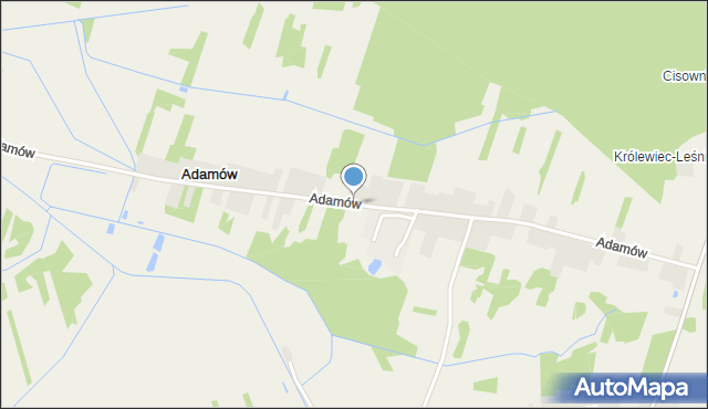 Adamów gmina Smyków, Adamów, mapa Adamów gmina Smyków