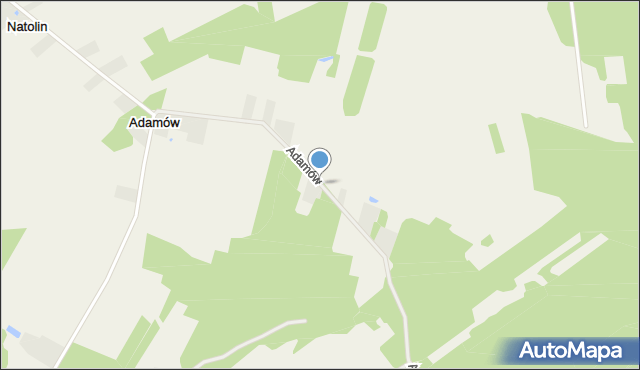 Adamów gmina Wierzbno, Adamów, mapa Adamów gmina Wierzbno